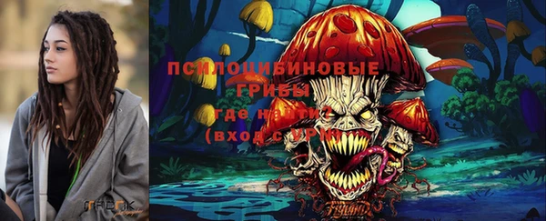 молекула духа Кодинск