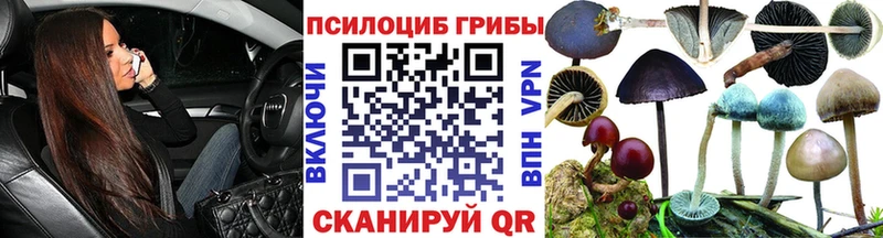 Псилоцибиновые грибы Psilocybine cubensis Видное